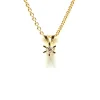 14 KARAT GULD CARLA VEDHÆNG MED BRILLANT 0,10 CT. W/SI + SØLV FORGYLDT KÆDE