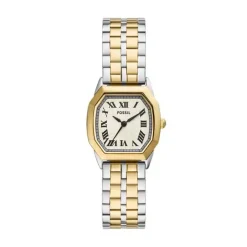 FOSSIL HARLOW TO FARVEDE - ES5362