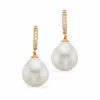 SCROUPLES ØRERINGE 8 KARAT GULD MED FERSKVANDSPERLE - 122813