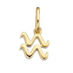 SPIRIT ICONS VEDHÆNG SØLV FORGYLDT STJERNETEGN VANDMAND - 60102