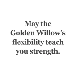 TROLLBEADS GYLDEN PIL GLASKUGLE- TGLBE-20404